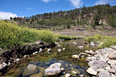 Gran Canaria