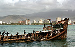 Isla Margarita