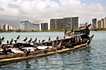 Isla Margarita