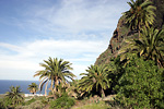 Tenerife